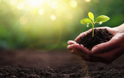 Protecting what matters most, now and into the future